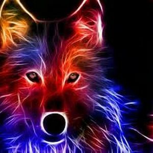 Meet your Posher, Celena